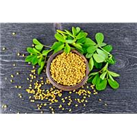 Những Tác Dụng Của Hạt Methi Ấn Độ