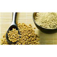 Những tác dụng vô cùng tốt của Hạt methi Ấn Độ (Phần 2)