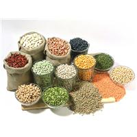 Những thực phẩm cực kỳ tốt cho dạ dày (Phần 2)