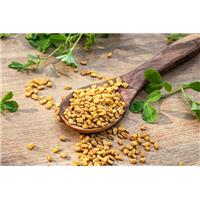 Nơi bán hạt methi chữa tiểu đường ở đâu tốt nhất?