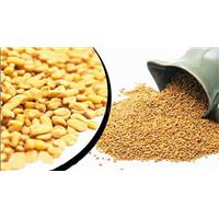 NÓI KHÔNG VỚI TIÊU CHẢY CÙNG THẢO DƯỢC METHI