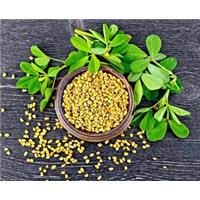 Sau ngộ độc thực phẩm nên ăn gì để cơ thể nhanh phục hồi