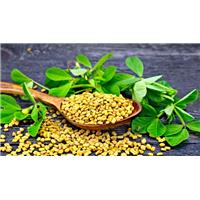 Sau Sinh Có Nên Sử Dụng Hạt Methi Không?