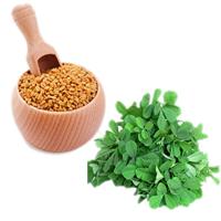 Sử dụng hạt methi hạ cholesterol hiệu quả cao
