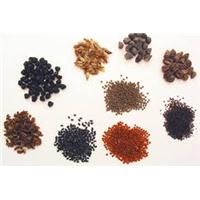 Tác hại khôn lường của các loại hạt