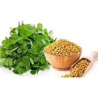 Tăng cường trí nhớ với hạt Methi Ấn Độ