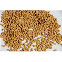 Tăng kích thước vòng ngực bằng hạt methi – Bạn đã thử chưa