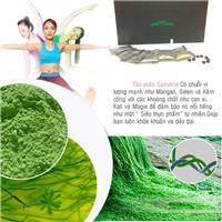 Tảo xoắn Spirulina thực phẩm lý tưởng chống loãng xương