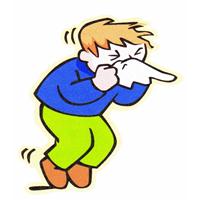 Thảo dược methi: Bài thuốc truyền thống hỗ trợ chữa trị, điều trị bệnh viêm xoang