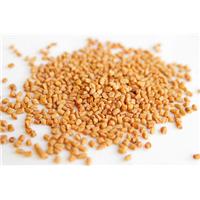 Thực Phẩm Chức Năng Hạt Methi Ấn Độ