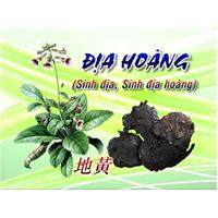 Thuốc nam hỗ trợ chữa trị, điều trị bệnh tiểu đường