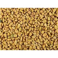 Top thực phẩm lành mạnh cho người già