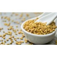 Tuyên Quang nên chọn địa chỉ cung cấp hạt Methi Ấn Độ chất lượng