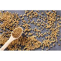 Tuyệt chiêu tăng sức đề kháng trong mùa lạnh